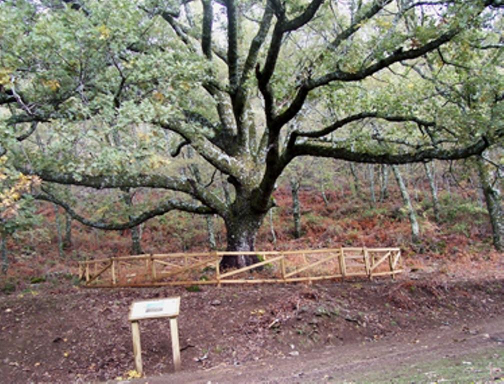 Las Calabazas Barrado Habitación foto