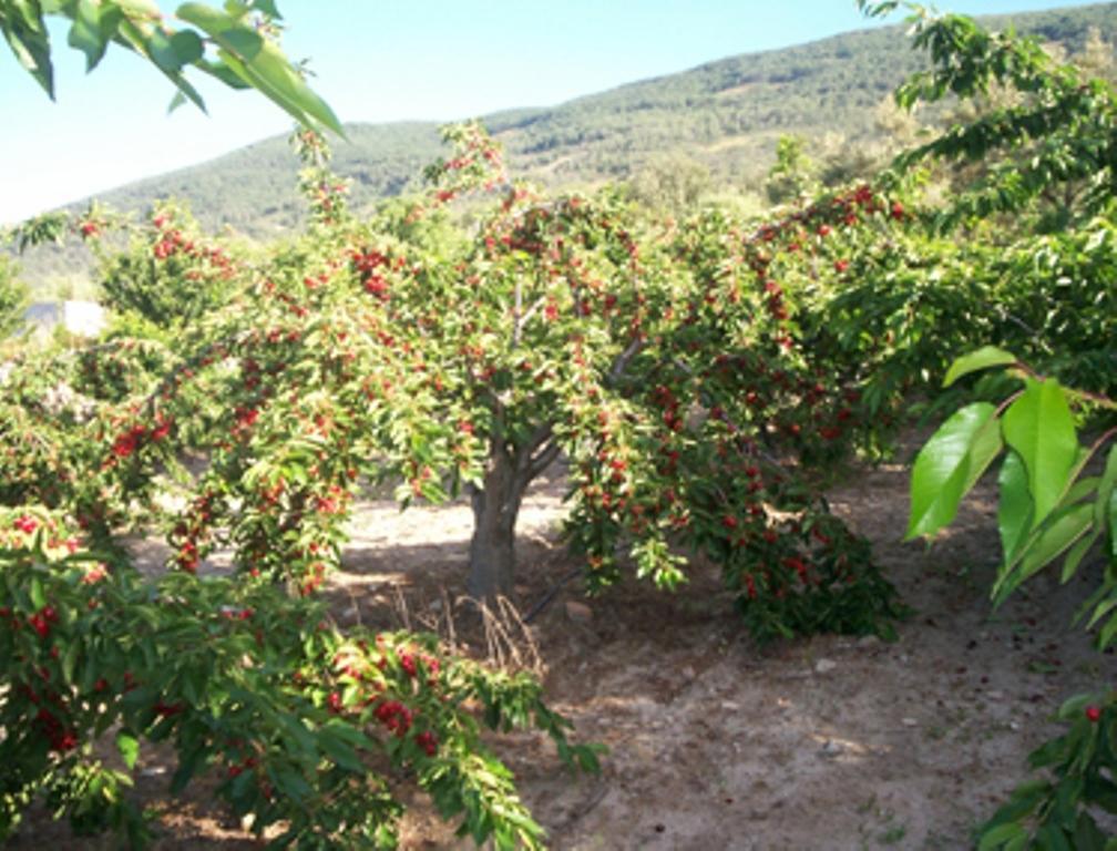 Las Calabazas Barrado Habitación foto